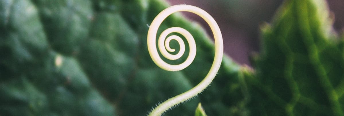 Are religious people happier and healthier?