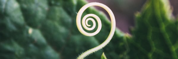 Will Religion Help Me?